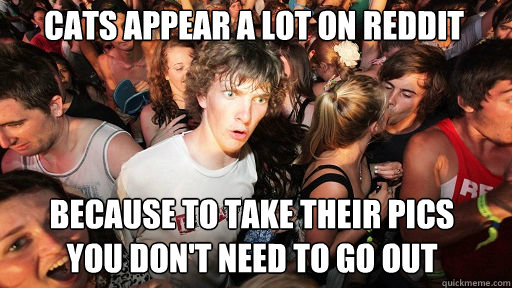 Cats appear a lot on reddit
 Because to take their pics
you don't need to go out  Sudden Clarity Clarence