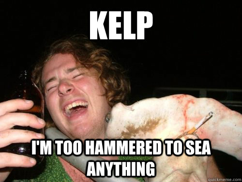 kelp i'm too hammered to sea anything - kelp i'm too hammered to sea anything  Hammered Hammer