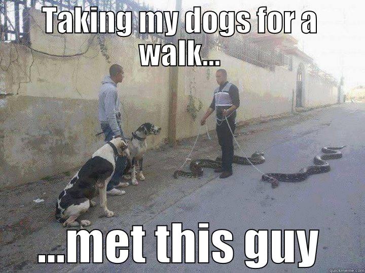 TAKING MY DOGS FOR A WALK... ...MET THIS GUY Misc