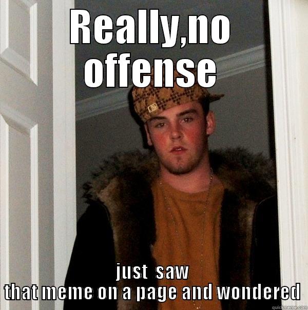 REALLY,NO OFFENSE JUST  SAW THAT MEME ON A PAGE AND WONDERED Scumbag Steve