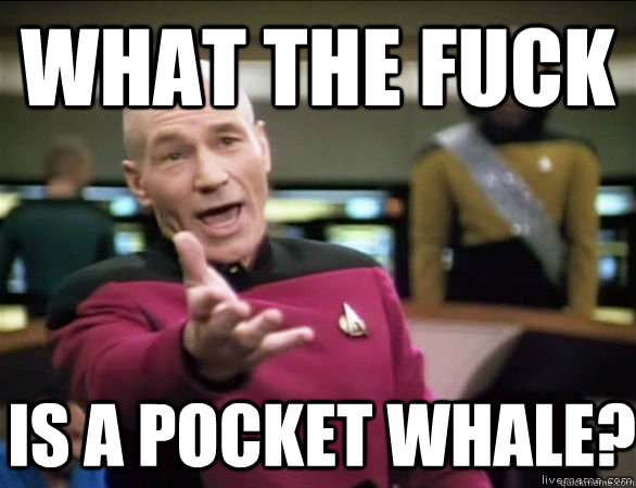 what the fuck is a pocket whale? - what the fuck is a pocket whale?  Annoyed Picard HD