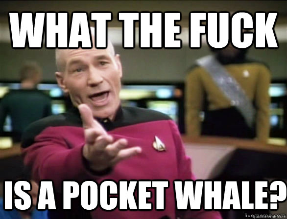 what the fuck is a pocket whale?  Annoyed Picard HD