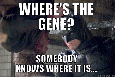 WHERE'S THE GENE? SOMEBODY KNOWS WHERE IT IS.... Misc