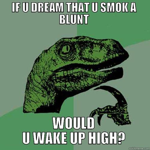 IF U DREAM THAT U SMOK A BLUNT WOULD U WAKE UP HIGH? Philosoraptor
