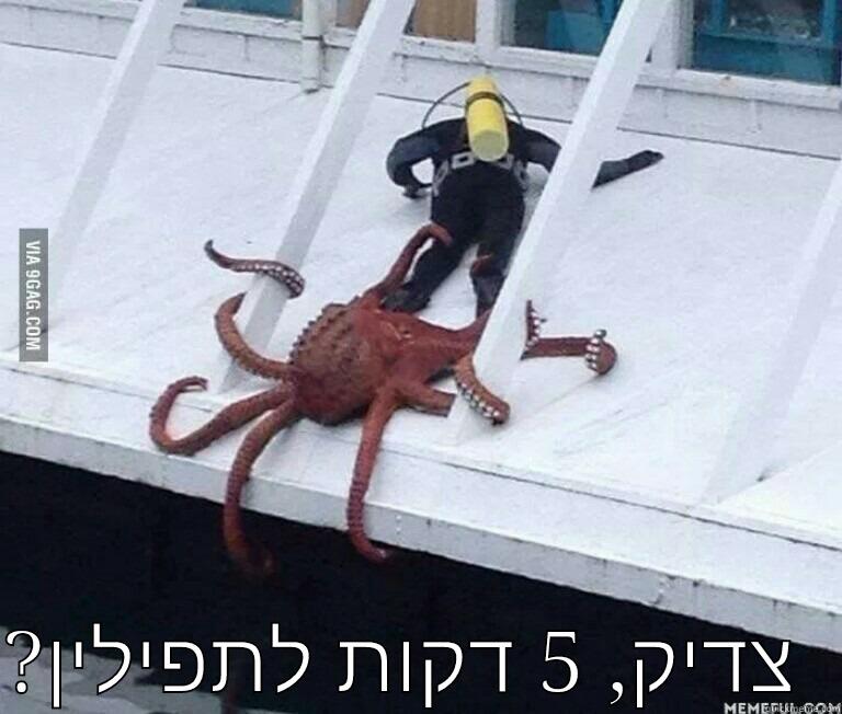   ?צדיק, 5 דקות לתפילין  Misc