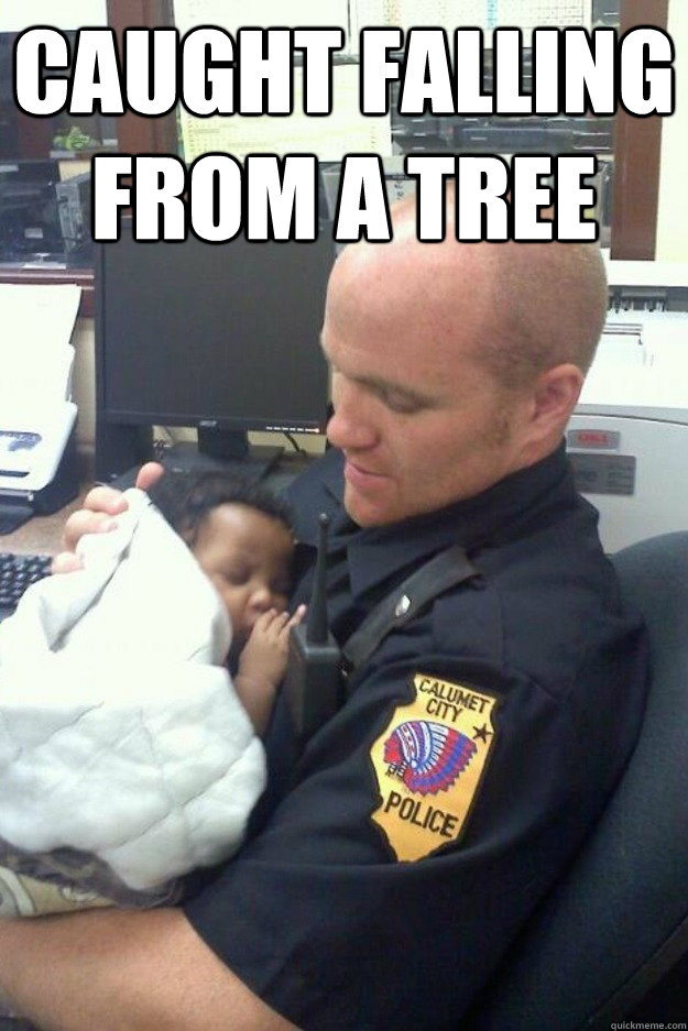 Caught falling from a tree  - Caught falling from a tree   Misc