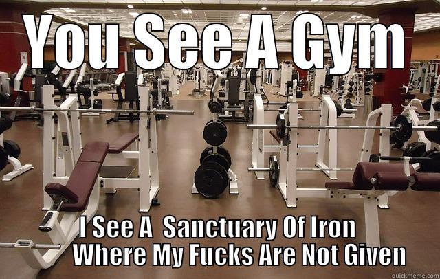 YOU SEE A GYM I SEE A  SANCTUARY OF IRON           WHERE MY FUCKS ARE NOT GIVEN  Misc