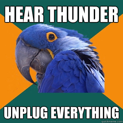 Hear thunder Unplug everything  Paranoid Parrot