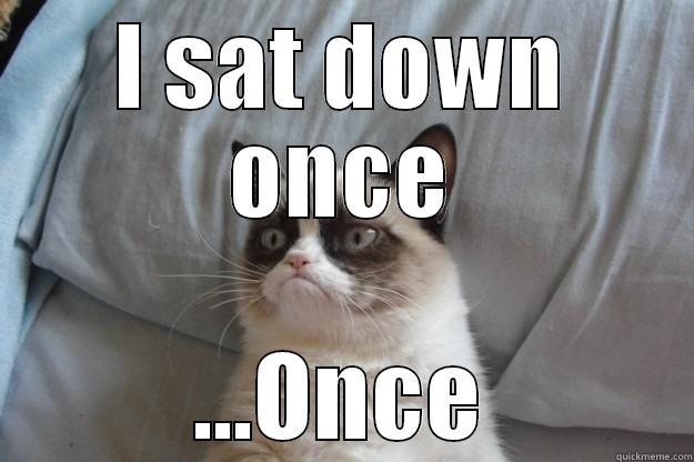 I SAT DOWN ONCE ...ONCE Grumpy Cat