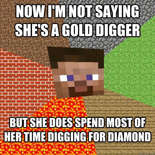 Now I'm not saying she's a gold digger But she does spend most of her time digging for Diamond - Now I'm not saying she's a gold digger But she does spend most of her time digging for Diamond  Minecraft