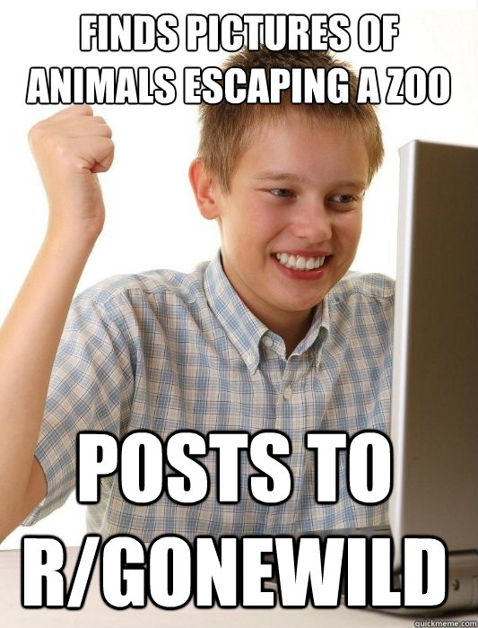 Finds pictures of animals escaping a zoo posts to r/gonewild  First Day on the Internet Kid