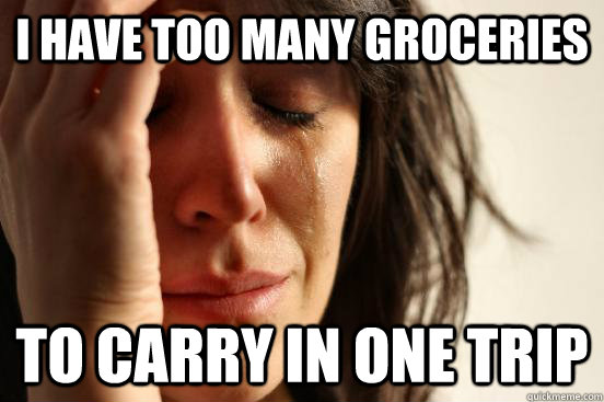 i have too many groceries to carry in one trip  First World Problems