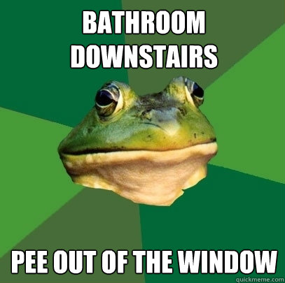 Bathroom downstairs Pee out of the window  Foul Bachelor Frog