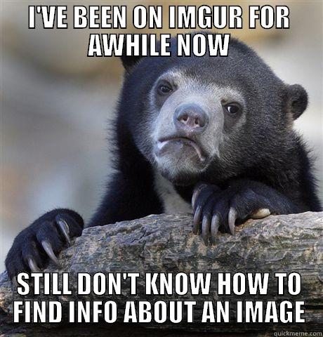 I'VE BEEN ON IMGUR FOR AWHILE NOW STILL DON'T KNOW HOW TO FIND INFO ABOUT AN IMAGE Confession Bear