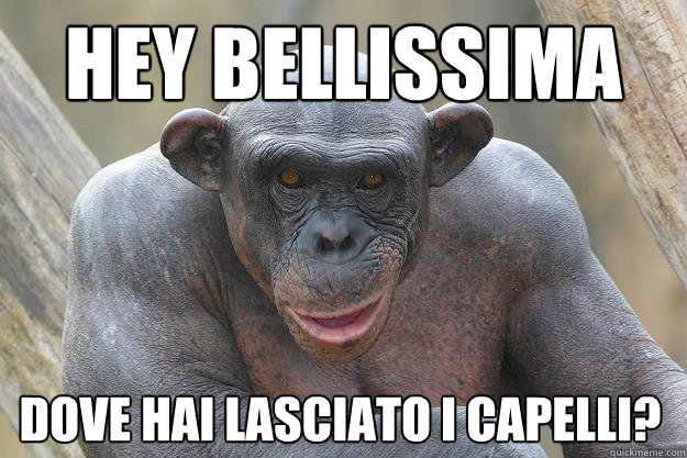 Hey bellissima Dove hai lasciato i capelli?  The Most Interesting Chimp In The World