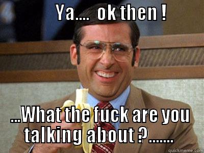                YA....  OK THEN !                                          ...WHAT THE FUCK ARE YOU      TALKING ABOUT ?.......       Misc