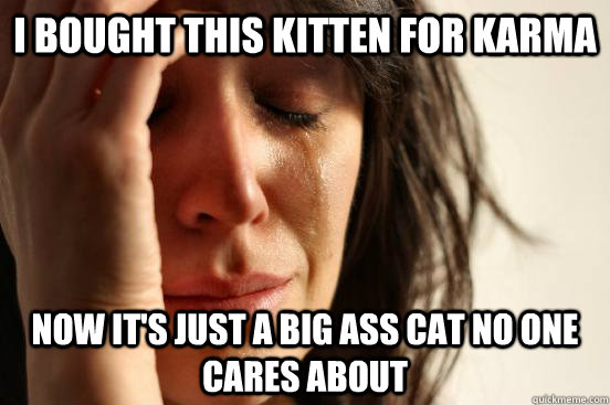 I bought this kitten for karma now it's just a big ass cat no one cares about  First World Problems