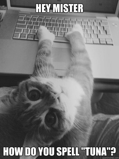 Hey Mister how do you spell "tuna"? - Shopping Kitty - quickmeme