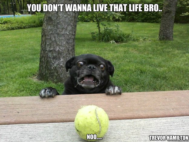 You Don't Wanna Live That Life Bro.. noo..... Trevor Hamilton  Berks Dog