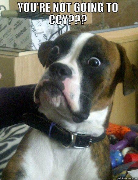 YOU'RE NOT GOING TO CCY???  Insanity puppy