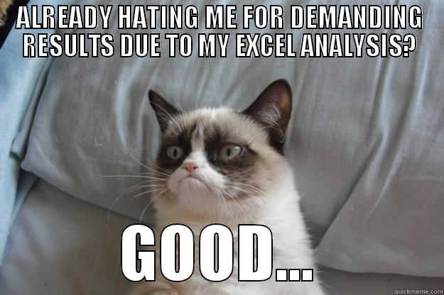 ALREADY HATING ME FOR DEMANDING RESULTS DUE TO MY EXCEL ANALYSIS? GOOD... Grumpy Cat