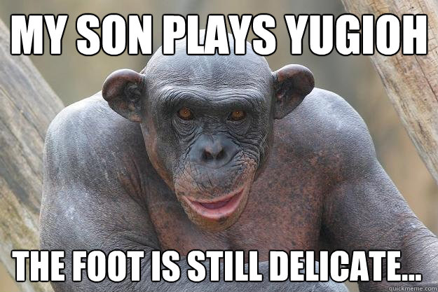 my son plays yugioh the foot is still delicate...  The Most Interesting Chimp In The World