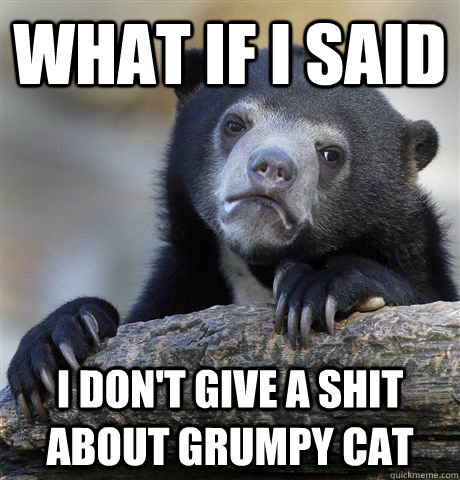 What if i said I don't give a shit about grumpy cat  Confession Bear