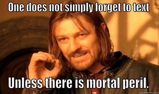 ONE DOES NOT SIMPLY FORGET TO TEXT UNLESS THERE IS MORTAL PERIL. Boromir