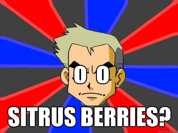 o  o SITRUS BERRIES?  Professor Oak