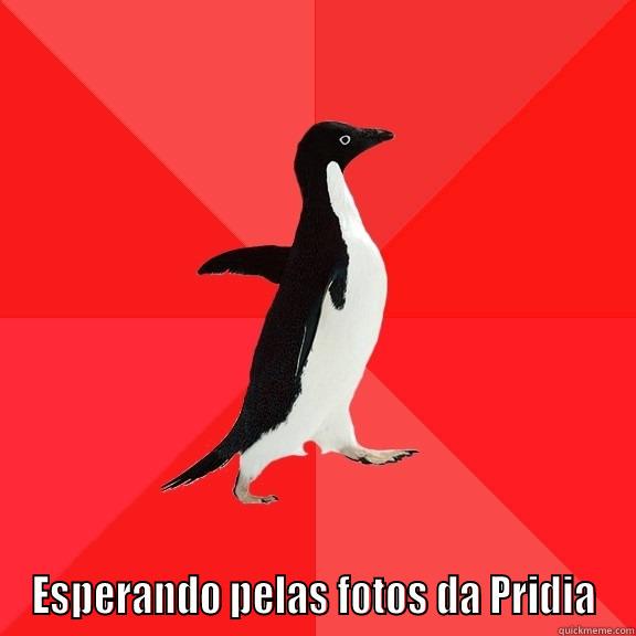  ESPERANDO PELAS FOTOS DA PRIDIA Socially Awesome Penguin