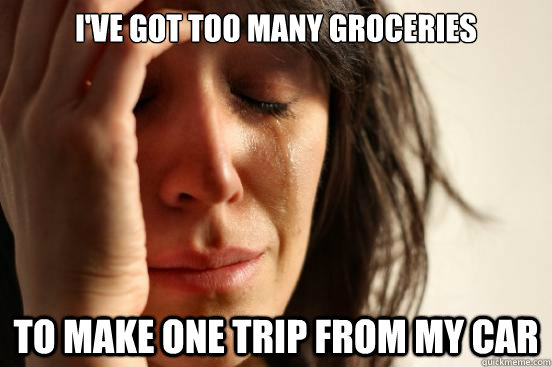 I've got too many groceries to make one trip from my car  First World Problems