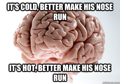 It's cold, better make his nose run It's hot, better make his nose run  Scumbag Brain