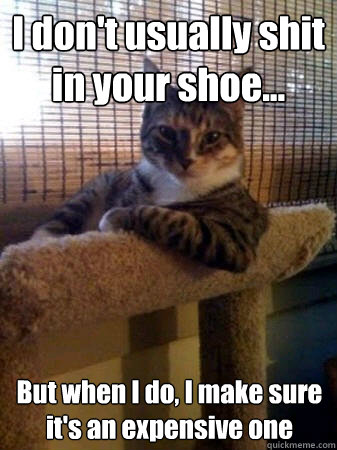 I don't usually shit in your shoe... But when I do, I make sure it's an expensive one  The Most Interesting Cat in the World