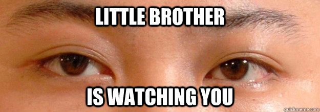 Little brother is watching you - Little brother is watching you  Misc