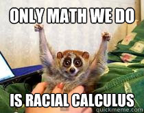 Only math we do is RACIAL CALCULUS  American Studies Slow Loris