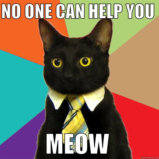 NO ONE CAN HELP YOU  MEOW Business Cat