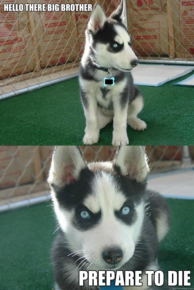 HELLO THERE BIG BROTHER PREPARE TO DIE  Insanity puppy