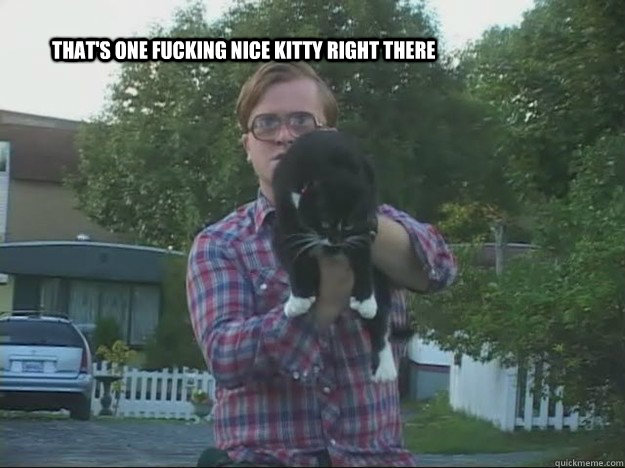 That's One Fucking Nice Kitty Right There - That's One Fucking Nice Kitty Right There  Nice Kitty