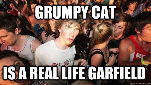 Grumpy Cat Is A real life garfield  Sudden Clarity Clarence