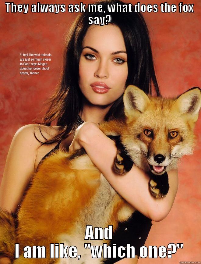 THEY ALWAYS ASK ME, WHAT DOES THE FOX SAY? AND I AM LIKE, 