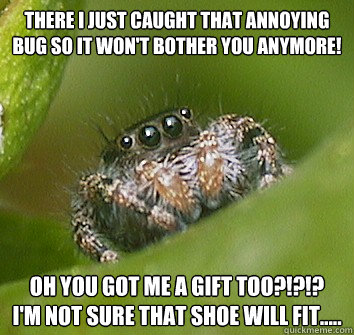 There I just caught that annoying bug so it won't bother you anymore! Oh you got me a gift too?!?!?     I'm not sure that shoe will fit.....  Misunderstood Spider