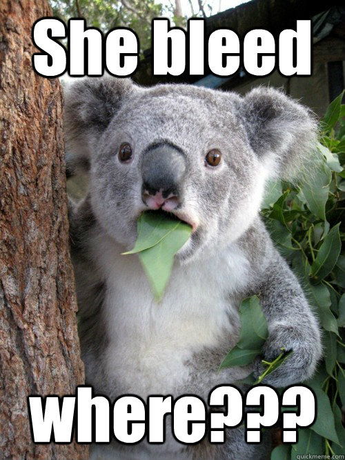 She bleed where??? - She bleed where???  Shocked Koala