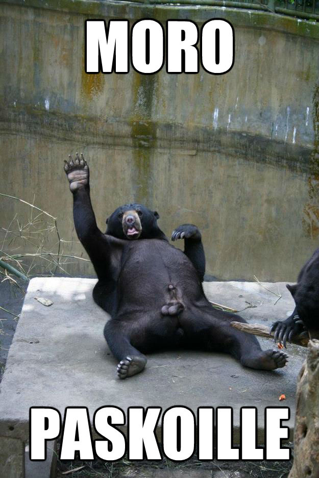 MORO PASKOILLE  Ballsy Bear