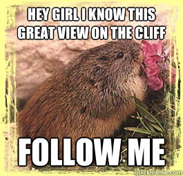 Hey girl i know this great view on the cliff Follow me   Lesbian Lemming