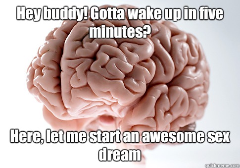 Hey buddy! Gotta wake up in five minutes? Here, let me start an awesome sex dream  Scumbag Brain