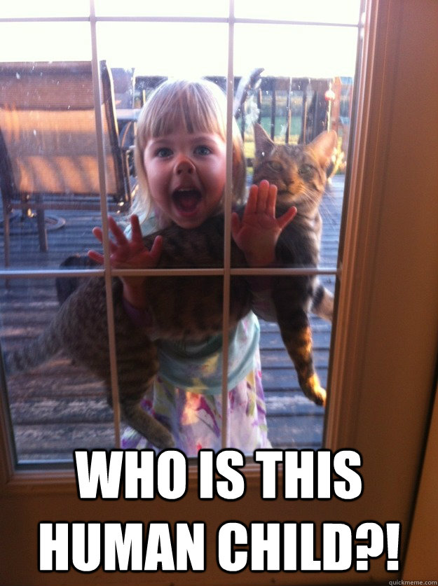  Who is this human child?! -  Who is this human child?!  Misc