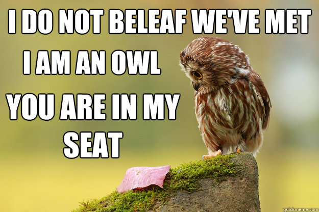I do not beleaf we've met i am an owl You are in my seat  