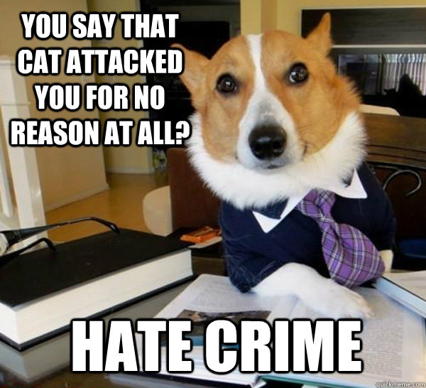 You say that cat attacked you for no reason at all? Hate crime - You say that cat attacked you for no reason at all? Hate crime  Lawyer Dog