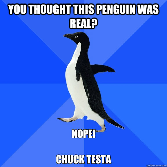 You thought this penguin was real? Nope!

Chuck Testa  Socially Awkward Penguin