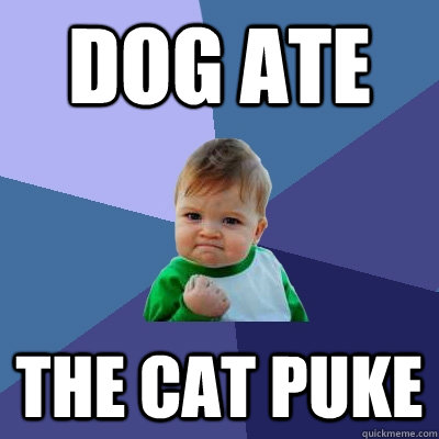 Dog Ate The cat puke - Dog Ate The cat puke  Success Kid